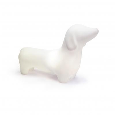 Dachshund - Soft White