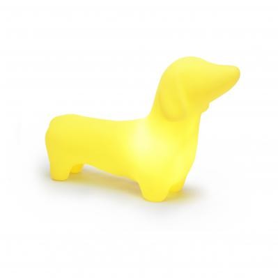 Dachshund - Mellow Yellow