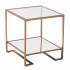 Horten Square Glass-Top End Table