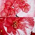 Duvet Cover Set, Queen size Floral Bedding, Dolce Mela - Pink DM700Q