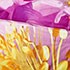 Duvet Cover Set, King Size Floral Bedding, Dolce Mela - June DM703K
