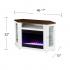 Dilvon Color Changing Fireplace w/ Media Storage