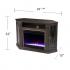 Austindale Color Changing Fireplace w/ Media Storage