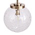 Predshire Globe Pendant Lamp